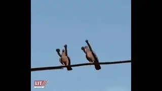 #приколы #танцы