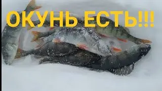 Ловля Окуня и Щуки. На мормышку и жерлицы.