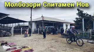 Молбозори Спитамен Нов.Семиз Новвослар Нархлари.12.05.2024.