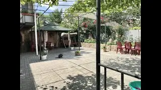 Домик 1 комнатный в Феодосии для летнего отдыха, ул. Ялтинская