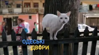 Одеські дворики - Сема не бей сильно Изю, ты вспотеешь | Україна вражає
