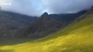 5 classic light music, lossless sound quality pure music selection 5首经典轻音乐，无损音质纯音乐精选