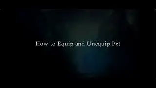 How to Equip and Unequip Pet