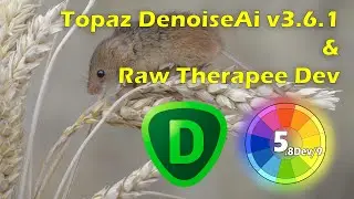 Topaz Denoise AI v3.6.1 Raw Noise Reduction & Simple Raw Therapee Process.