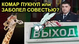 КОМАР ПУКНУЛ или ЗАБОЛЕЛ СОВЕСТЬЮ? 2023.06.26 Сургут