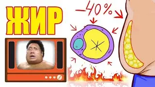 Как Убрать Жир на Животе