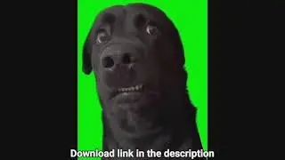 inki pinki ponki green screen meme template download