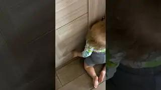 Наказание реборна Лиама 