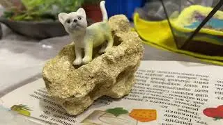 Мастер класс флорариум своими руками