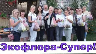 Первая экскурсия на моём винограднике. Эмоции зашкаливают!