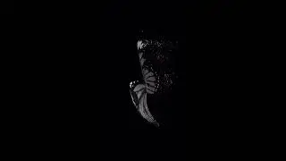 [FREE] Old School Boom Bap Type Beat 