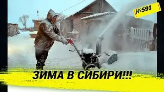 Сибирь. Деревенские будни. Новая сирота в нашей семье. Омск Москаленки жизнь в деревне.