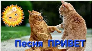 С добрым утром ! Песня - привет .