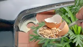 The powerful power of broken eggshells that many people don't believe in
