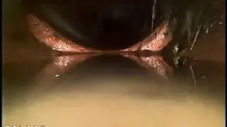 1193 Hudson - sewer cam - front door 062019