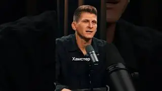 🐹 ЛИСТИНГ HAMSTER KOMBAT — О ЧЕМ ВЫ НЕ ЗНАЛИ? 