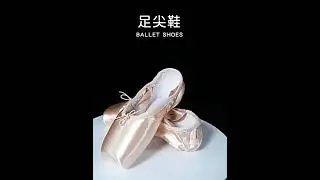 TIEJIAN Professional Ballet Pointe Shoes Canvas Satin Pink Black Red Ballerina Shoes 