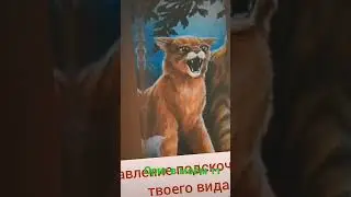 14 декабря 2022 г.