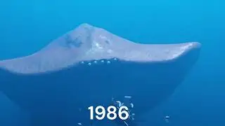 Evolution of El Gran Majá