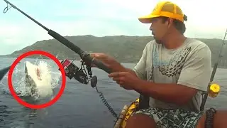 10 Shark Encounters  That'll Make Your Jaw Drop