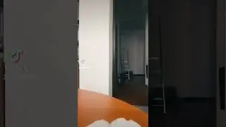 barsik