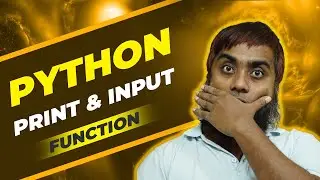 Python print and input Function