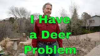 How to Deer Proof Your Garden