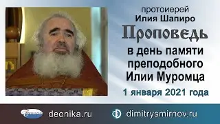 Проповедь в день памяти преподобного Илии Муромца (2021.01.01). Протоиерей Илия Шапиро