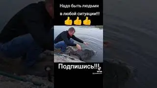 Будьте людьми везде!!! Любите природу!!! 