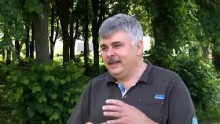 Птаство в приватному яхт-клубі Дніпра зазнає втрат — хто вбиває фазанів?