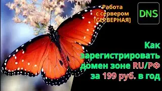 How to register a beautiful second-level domain in the RU zone for just 199 rubles a year