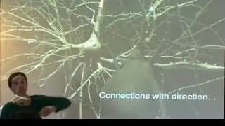 ACT2018: Kathryn Hess — Towards a categorical approach to neuroscience