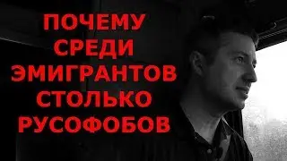 ПОЧЕМУ СРЕДИ ЭМИГРАНТОВ СТОЛЬКО РУСОФОБОВ / Блогер и Хаски / Блогер БН