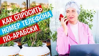 Как спросить и продиктовать номер телефона по-арабски?
