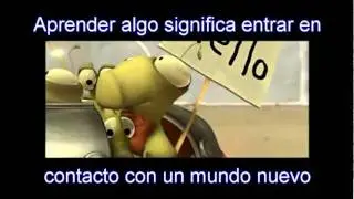 Reflexiòn XalapaTv