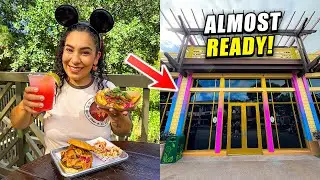 ✨ NEW Disneyland UPDATES! | Hungry Bear Barbecue Jamboree Foods, Bayou Country, Merch + MORE!