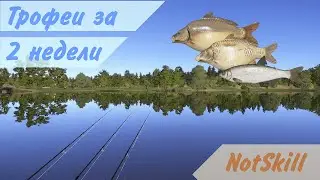 Русская рыбалка 4. Трофеи за 2 недели.