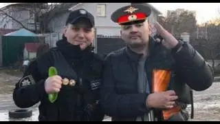 ПОКУШЕНИЕ НА АНДРЕЯ ЩАДИЛО (МОПС ДЯДЯ ПЁС)