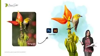Mindfulness in Nature | Bird Photography & Illustration | Indian White-eye | Video 01