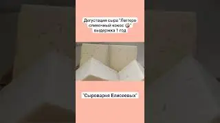 Дегустация сыра "Леггеро сливочный кокос 🥥" выдержка 1 год / Сыроварня Елисеевых