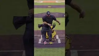 When the Umpire Hits the Fortnite “Floss” Emote | Savannah Bananas 