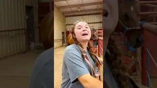 POV: What Our Horses Are Really Like! 🐴 #shorts #animals