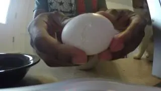 How To Crack An Egg Perfectly