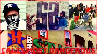 Who are the 52 Hoover gangster Crips? |The story of los Angeles MOST hated and notorious gang