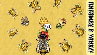 Pocket Ants l Питомец в улике! | Такого вы ещё не видели!!!
