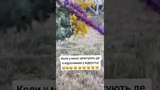 Коли мене запитують де я відпочиваю😂