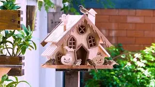Build Halloween Wooden Bird House and Bird Feeder