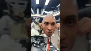 AI life assistant 