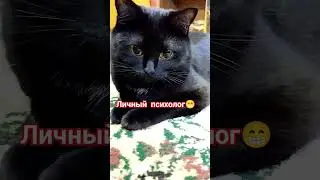 Личный психолог 🤣 #прикольнаяозвучка