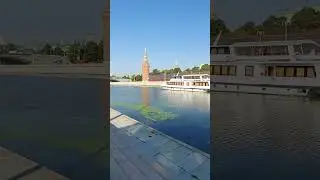 Утром активное движение на Москве - реке. Август 2024.